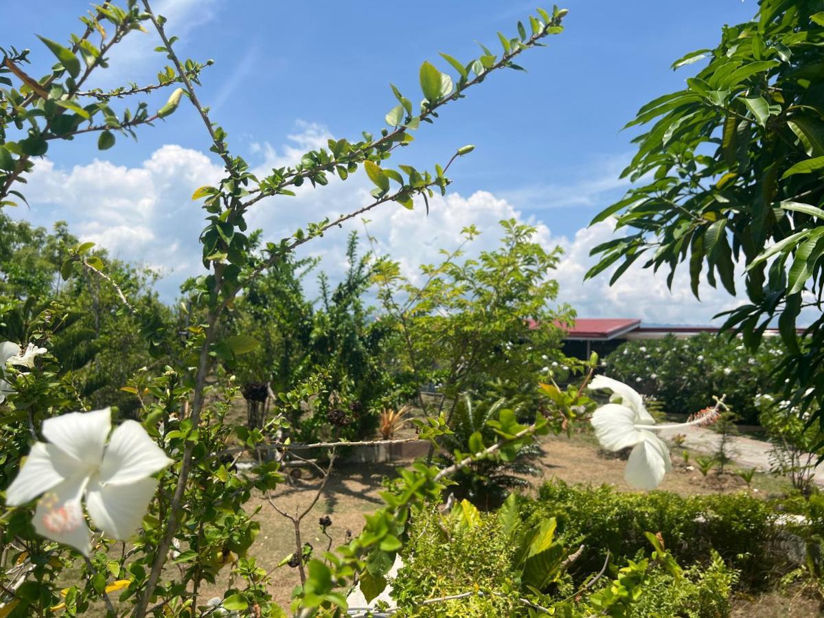 La Plumerias Moalboal Exterior photo