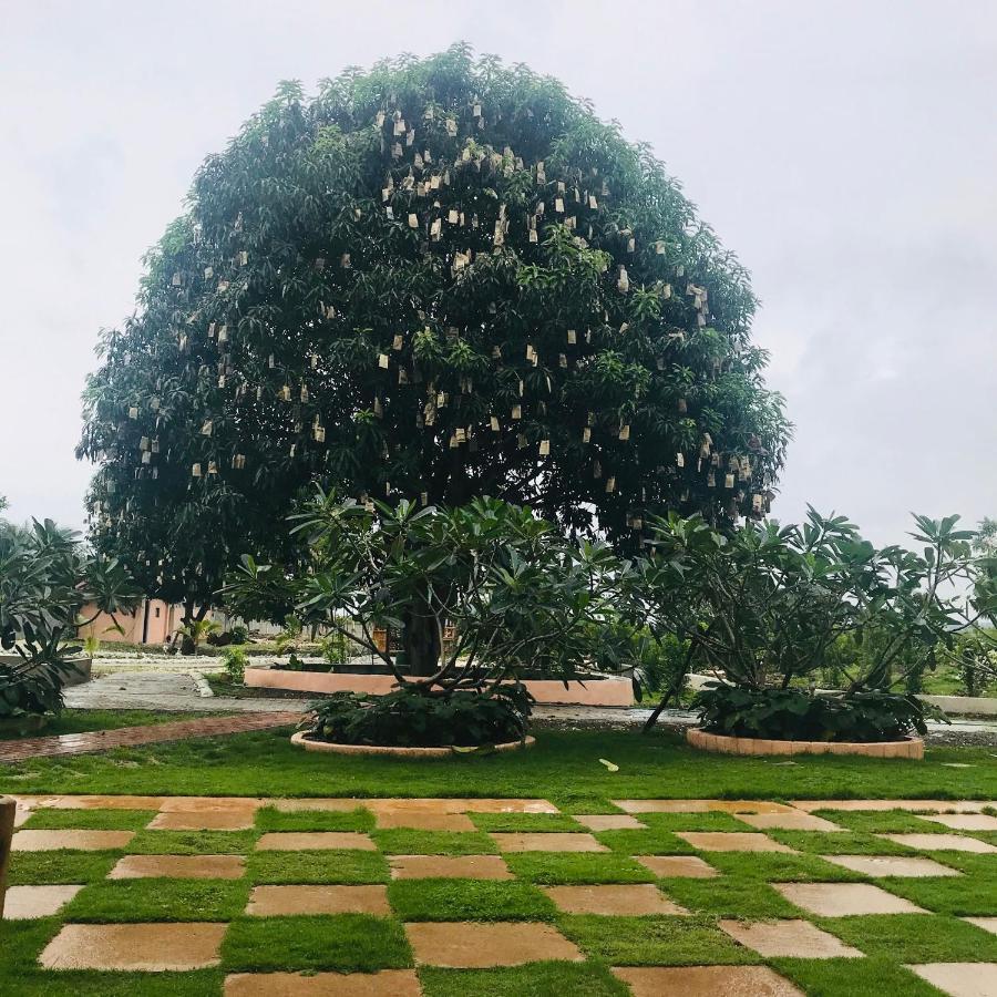 La Plumerias Moalboal Exterior photo